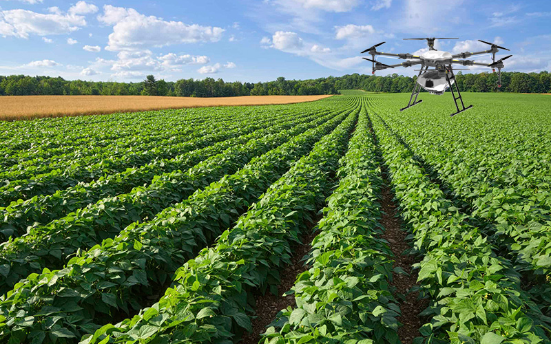 Precision Agricultural Drones Improve Your Farming Efficiency