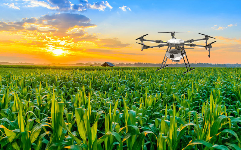 Main Working Efficiency of TZX Agricultural Plant Protection Drones